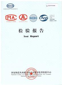 檢驗(yàn)報(bào)告